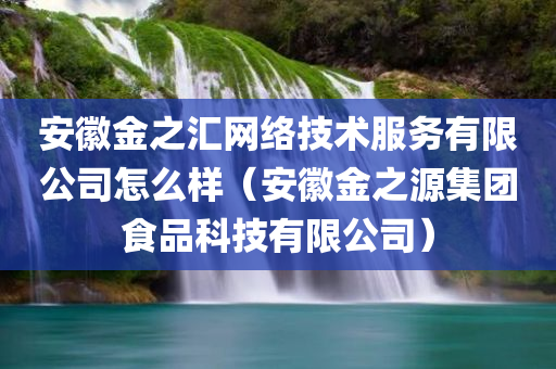 安徽金之汇网络技术服务有限公司怎么样（安徽金之源集团食品科技有限公司）