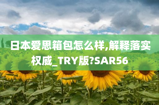 日本爱思箱包怎么样,解释落实权威_TRY版?SAR56