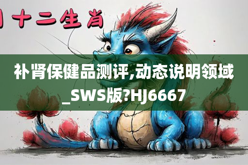 补肾保健品测评,动态说明领域_SWS版?HJ6667