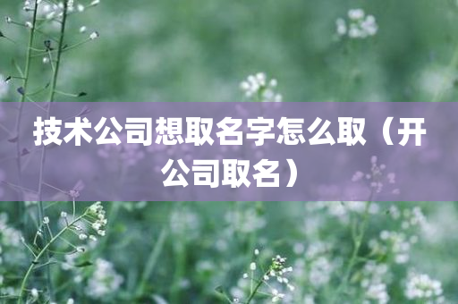 技术公司想取名字怎么取（开公司取名）