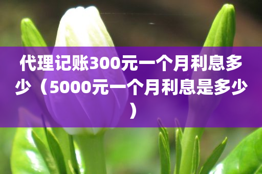 代理记账300元一个月利息多少（5000元一个月利息是多少）