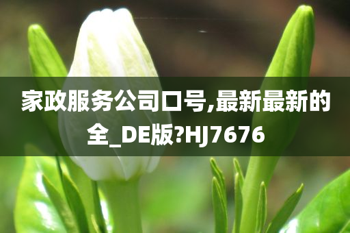 家政服务公司口号,最新最新的全_DE版?HJ7676