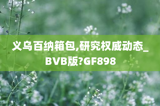 义乌百纳箱包,研究权威动态_BVB版?GF898