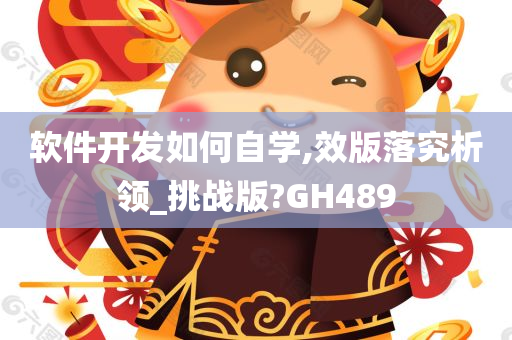 软件开发如何自学,效版落究析领_挑战版?GH489