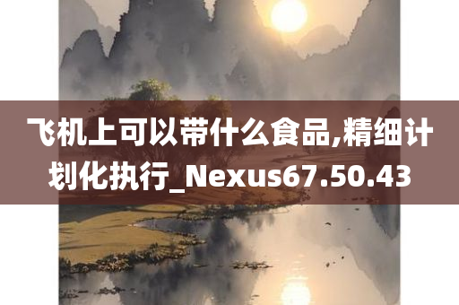 飞机上可以带什么食品,精细计划化执行_Nexus67.50.43