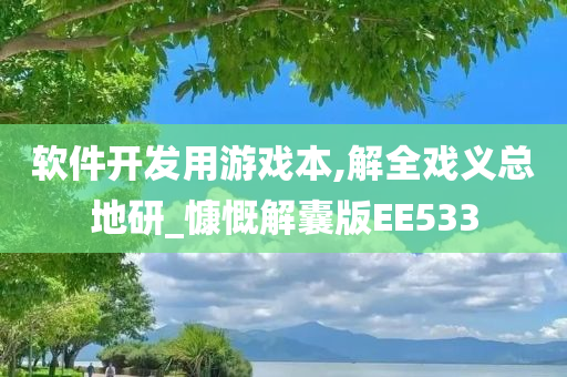 软件开发用游戏本,解全戏义总地研_慷慨解囊版EE533