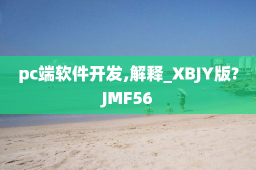 pc端软件开发,解释_XBJY版?JMF56