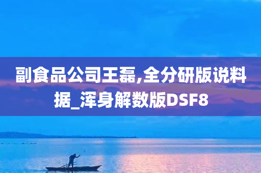 副食品公司王磊,全分研版说料据_浑身解数版DSF8