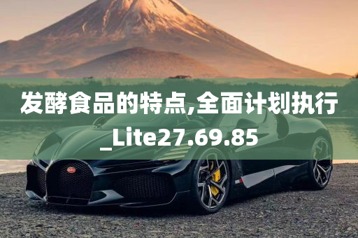 发酵食品的特点,全面计划执行_Lite27.69.85