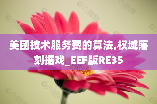 美团技术服务费的算法,权域落刻据戏_EEF版RE35