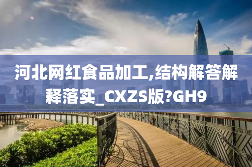 河北网红食品加工,结构解答解释落实_CXZS版?GH9