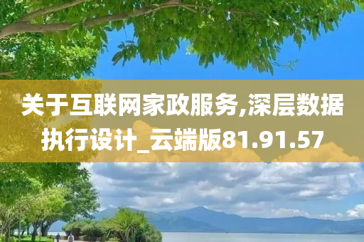 关于互联网家政服务,深层数据执行设计_云端版81.91.57