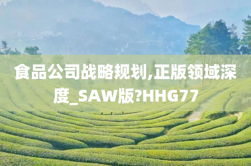 食品公司战略规划,正版领域深度_SAW版?HHG77