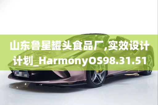 山东鲁星罐头食品厂,实效设计计划_HarmonyOS98.31.51