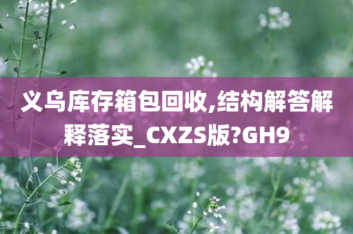 义乌库存箱包回收,结构解答解释落实_CXZS版?GH9