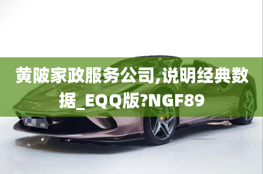 黄陂家政服务公司,说明经典数据_EQQ版?NGF89