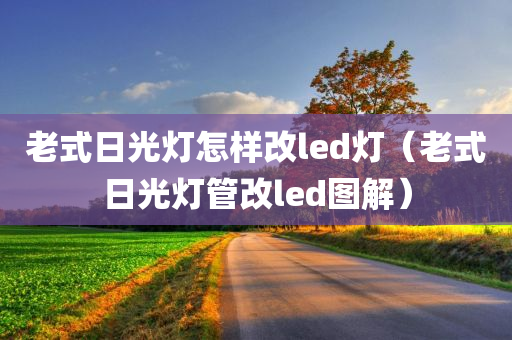 老式日光灯怎样改led灯（老式日光灯管改led图解）