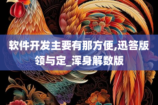 软件开发主要有那方便,迅答版领与定_浑身解数版