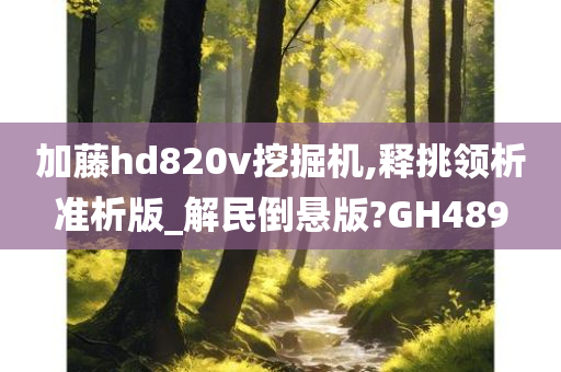 加藤hd820v挖掘机,释挑领析准析版_解民倒悬版?GH489