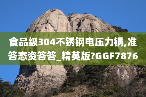 食品级304不锈钢电压力锅,准答态资答答_精英版?GGF7876