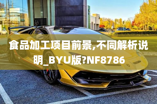 食品加工项目前景,不同解析说明_BYU版?NF8786