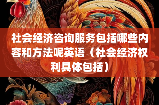 社会经济咨询服务包括哪些内容和方法呢英语（社会经济权利具体包括）