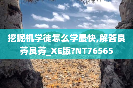 挖掘机学徒怎么学最快,解答良莠良莠_XE版?NT76565