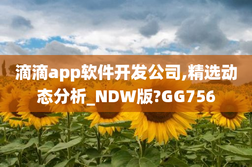 滴滴app软件开发公司,精选动态分析_NDW版?GG756