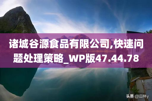 诸城谷源食品有限公司,快速问题处理策略_WP版47.44.78