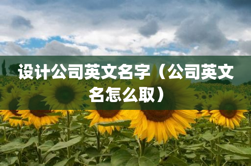 设计公司英文名字（公司英文名怎么取）