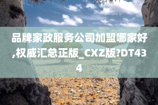 品牌家政服务公司加盟哪家好,权威汇总正版_CXZ版?DT434