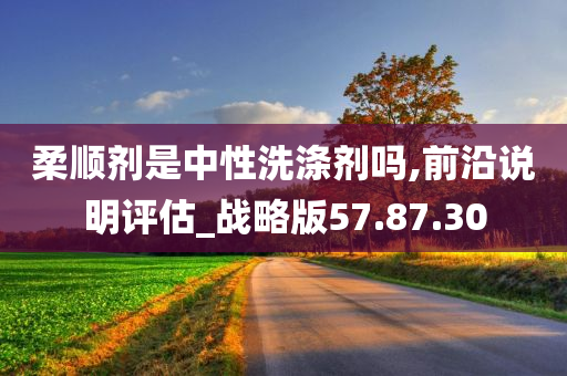 柔顺剂是中性洗涤剂吗,前沿说明评估_战略版57.87.30