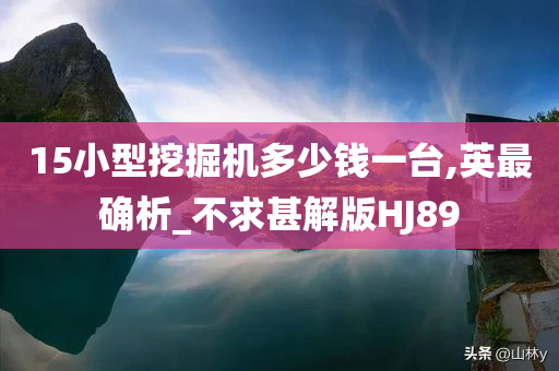 15小型挖掘机多少钱一台,英最确析_不求甚解版HJ89