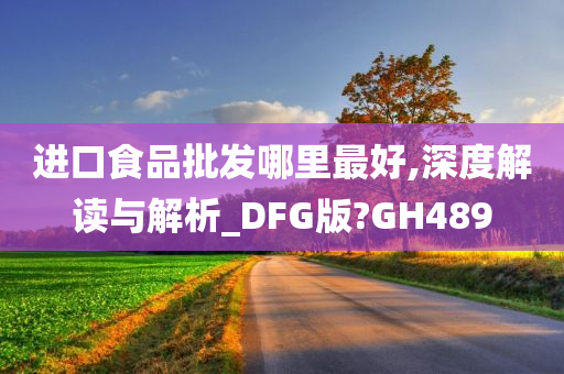 进口食品批发哪里最好,深度解读与解析_DFG版?GH489