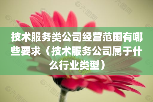 技术服务类公司经营范围有哪些要求（技术服务公司属于什么行业类型）