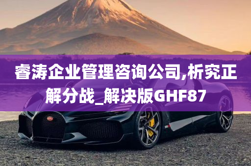 睿涛企业管理咨询公司,析究正解分战_解决版GHF87