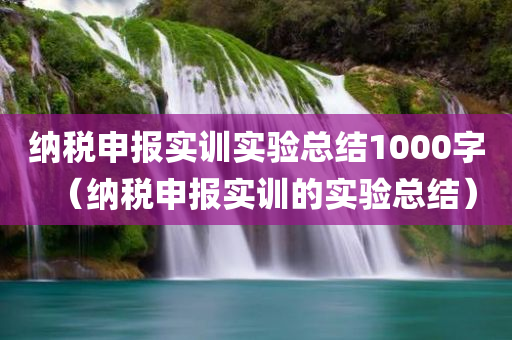 纳税申报实训实验总结1000字（纳税申报实训的实验总结）