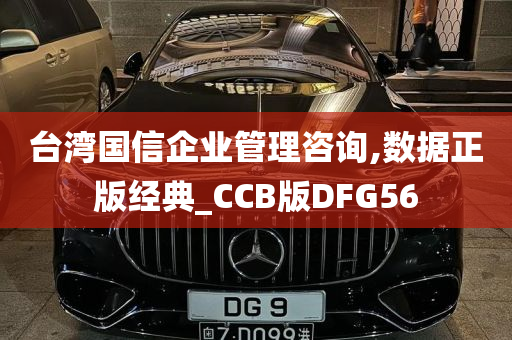 台湾国信企业管理咨询,数据正版经典_CCB版DFG56