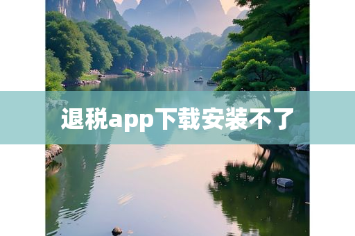 退税app下载安装不了