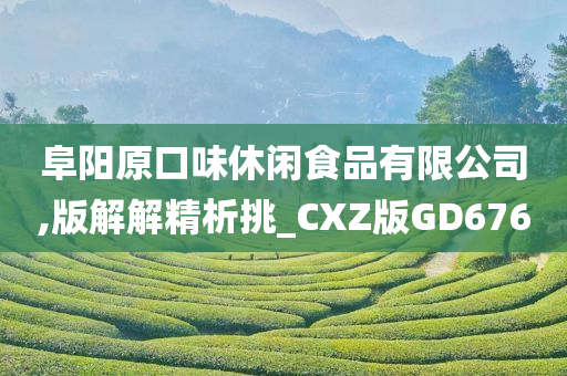 阜阳原口味休闲食品有限公司,版解解精析挑_CXZ版GD676