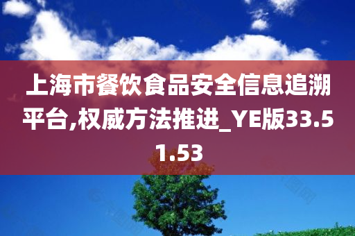 上海市餐饮食品安全信息追溯平台,权威方法推进_YE版33.51.53