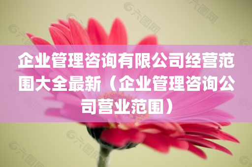 企业管理咨询有限公司经营范围大全最新（企业管理咨询公司营业范围）