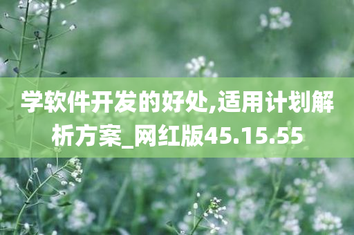 学软件开发的好处,适用计划解析方案_网红版45.15.55