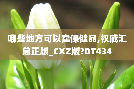 哪些地方可以卖保健品,权威汇总正版_CXZ版?DT434