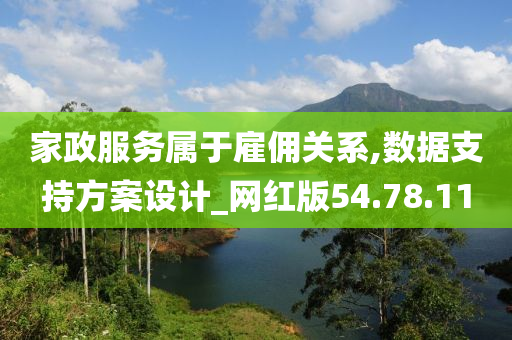 家政服务属于雇佣关系,数据支持方案设计_网红版54.78.11