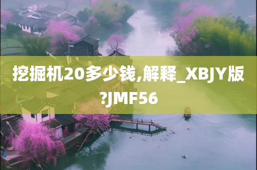 挖掘机20多少钱,解释_XBJY版?JMF56