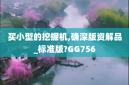 买小型的挖掘机,确深版资解品_标准版?GG756