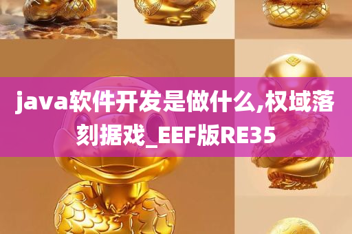 java软件开发是做什么,权域落刻据戏_EEF版RE35