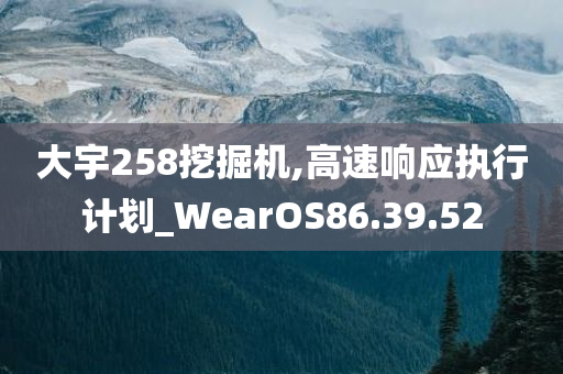 大宇258挖掘机,高速响应执行计划_WearOS86.39.52