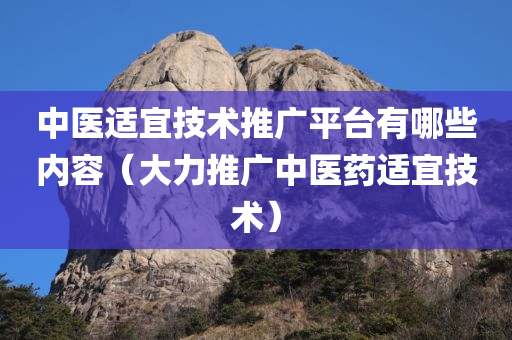 中医适宜技术推广平台有哪些内容（大力推广中医药适宜技术）